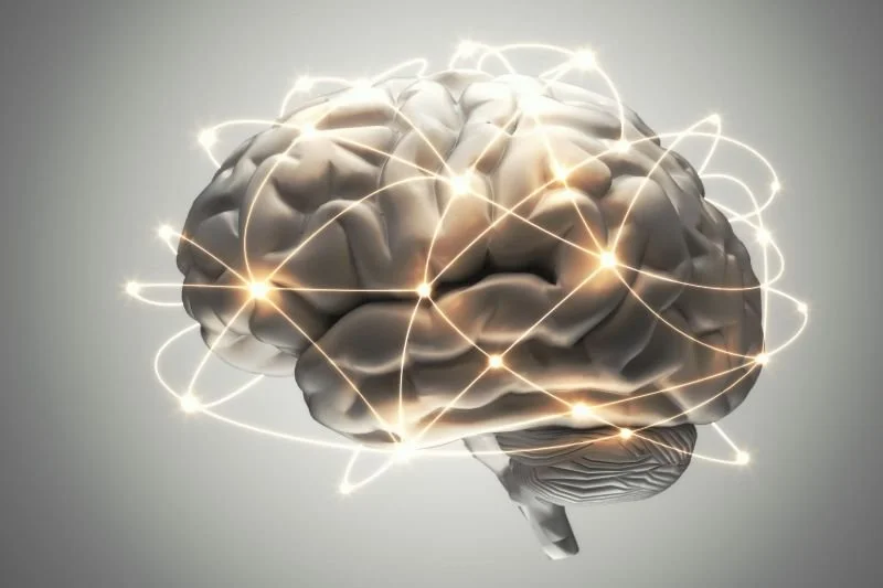 Cómo funciona el cerebro según la neurociencia en un proceso de coaching