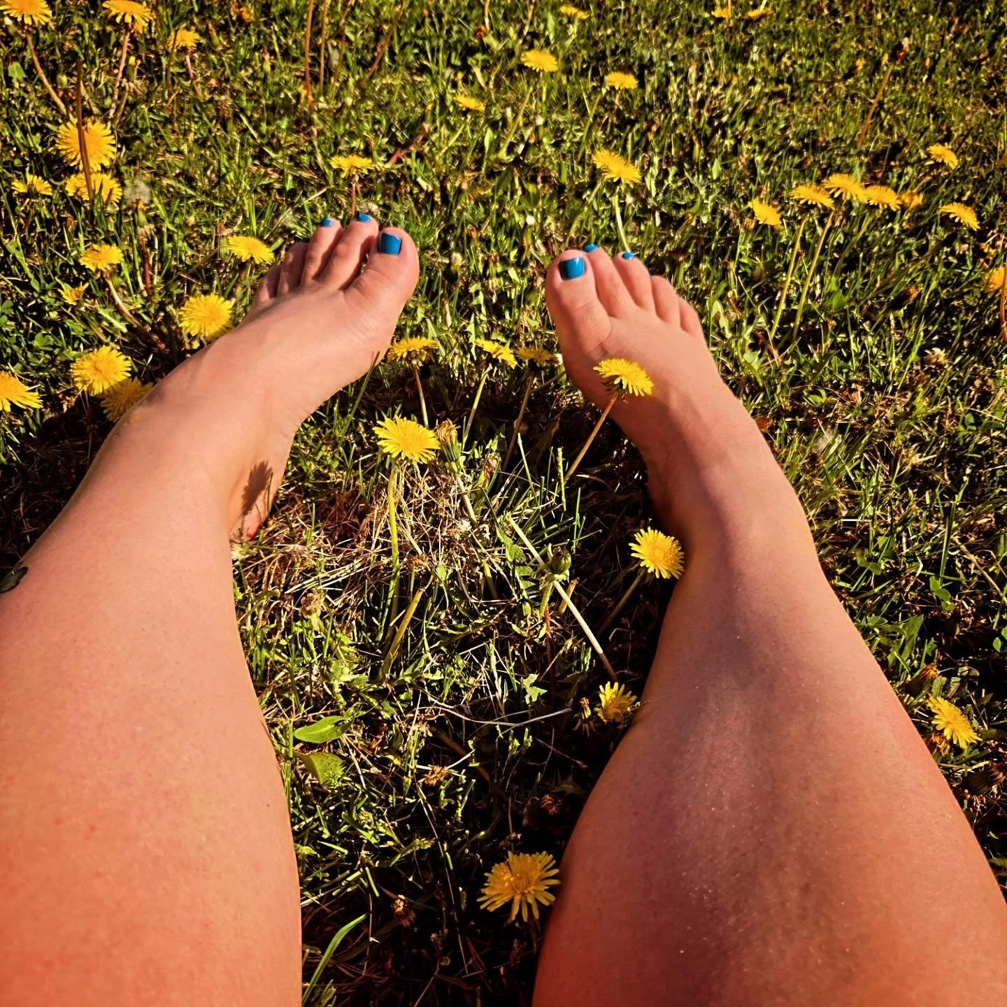 Dandelions 

#feet