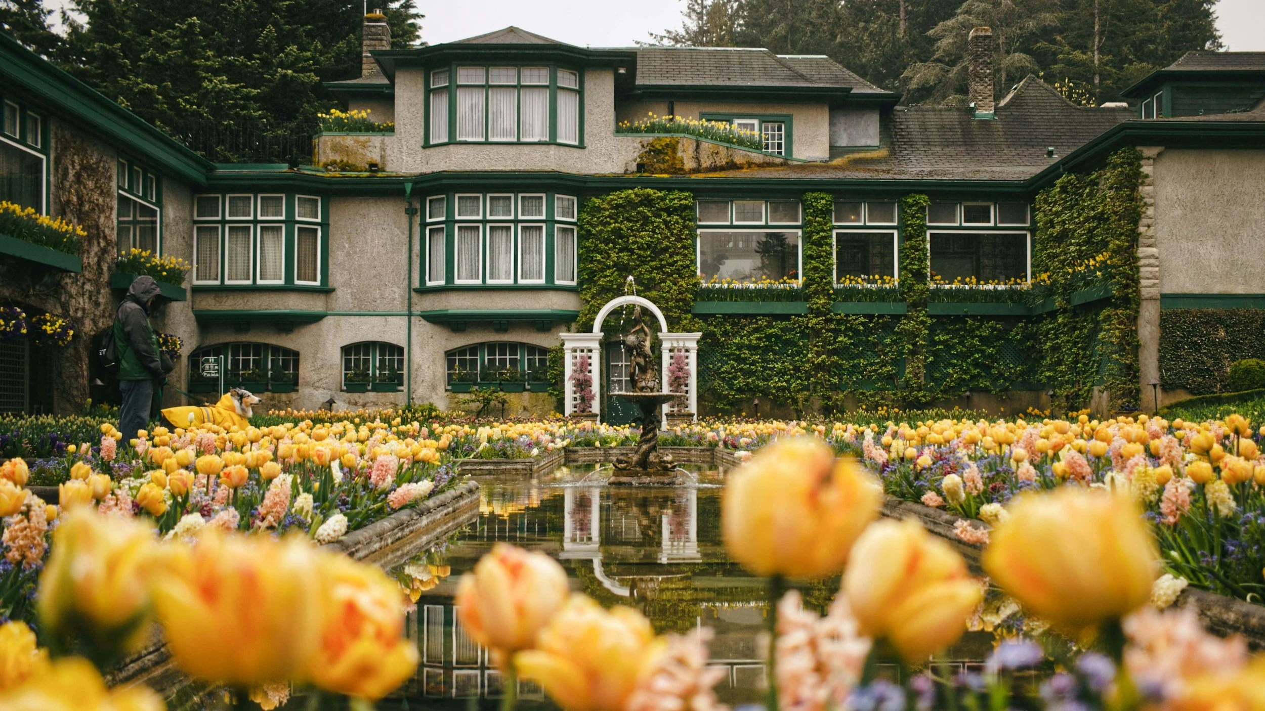 affordable hotel near butchart gardens