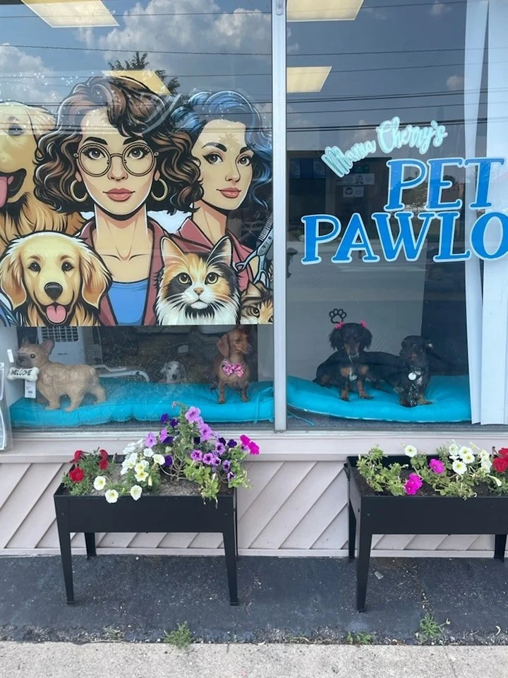 Blood, Sweat, Tears &amp; Paw Prints: Transforming Mama Cherry's Pet Pawlor