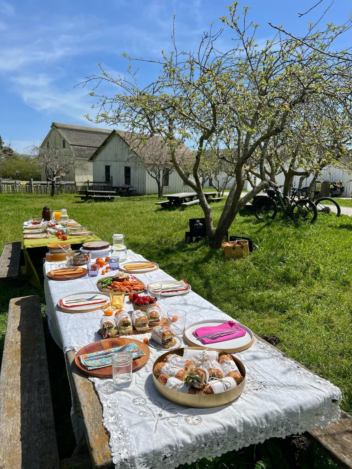 WhatsApp Image 2026-02-28 at 16.25.54 (1).jpeg