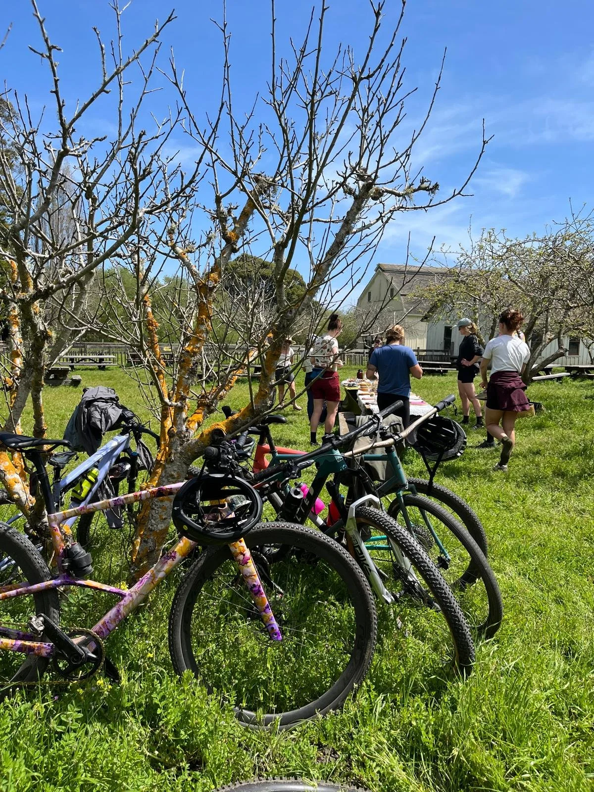 WhatsApp Image 2026-02-28 at 16.25.54 (2).jpeg