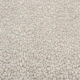 Ctherine Martin Leopard.jpg