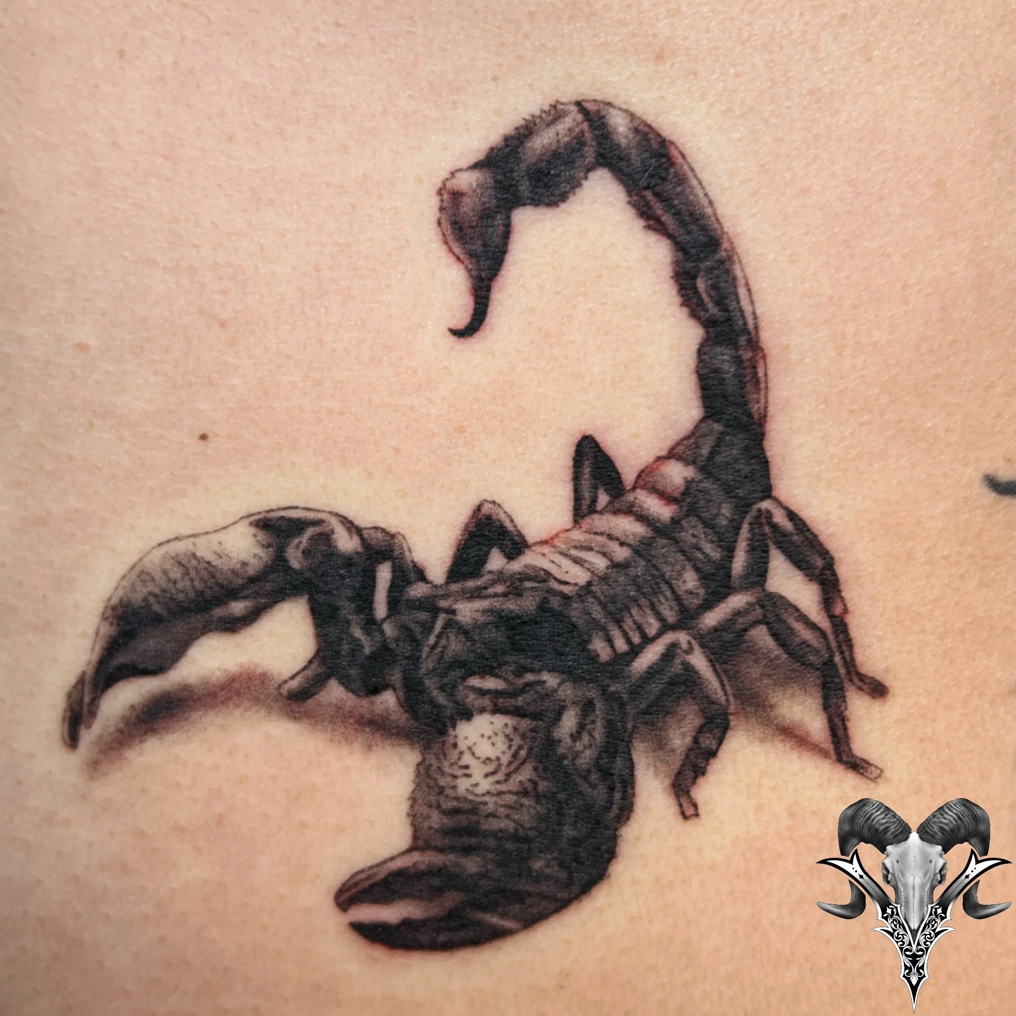 Black and grey realistic scorpion tattoo by Mi Vida Tattoos