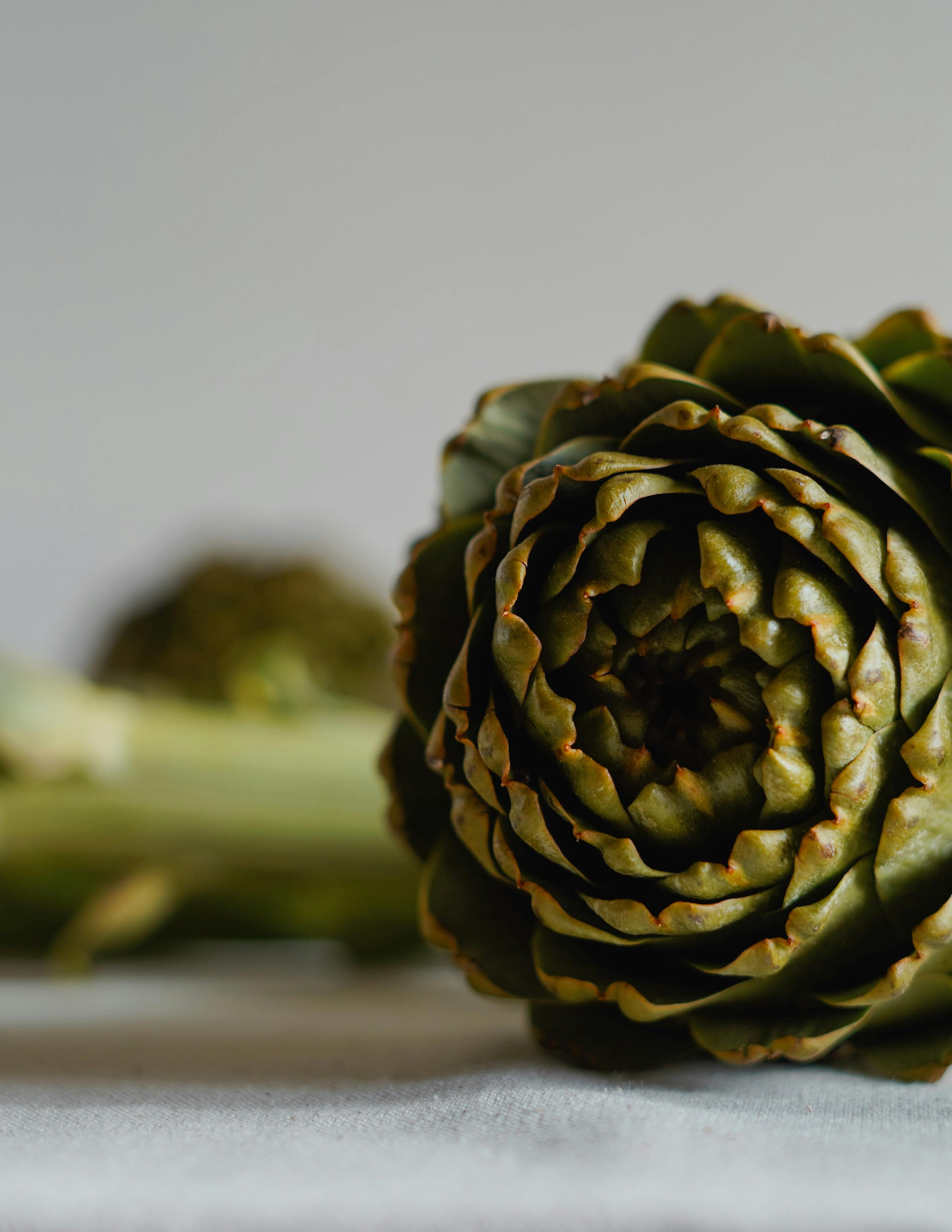 Artichoke Tincture
