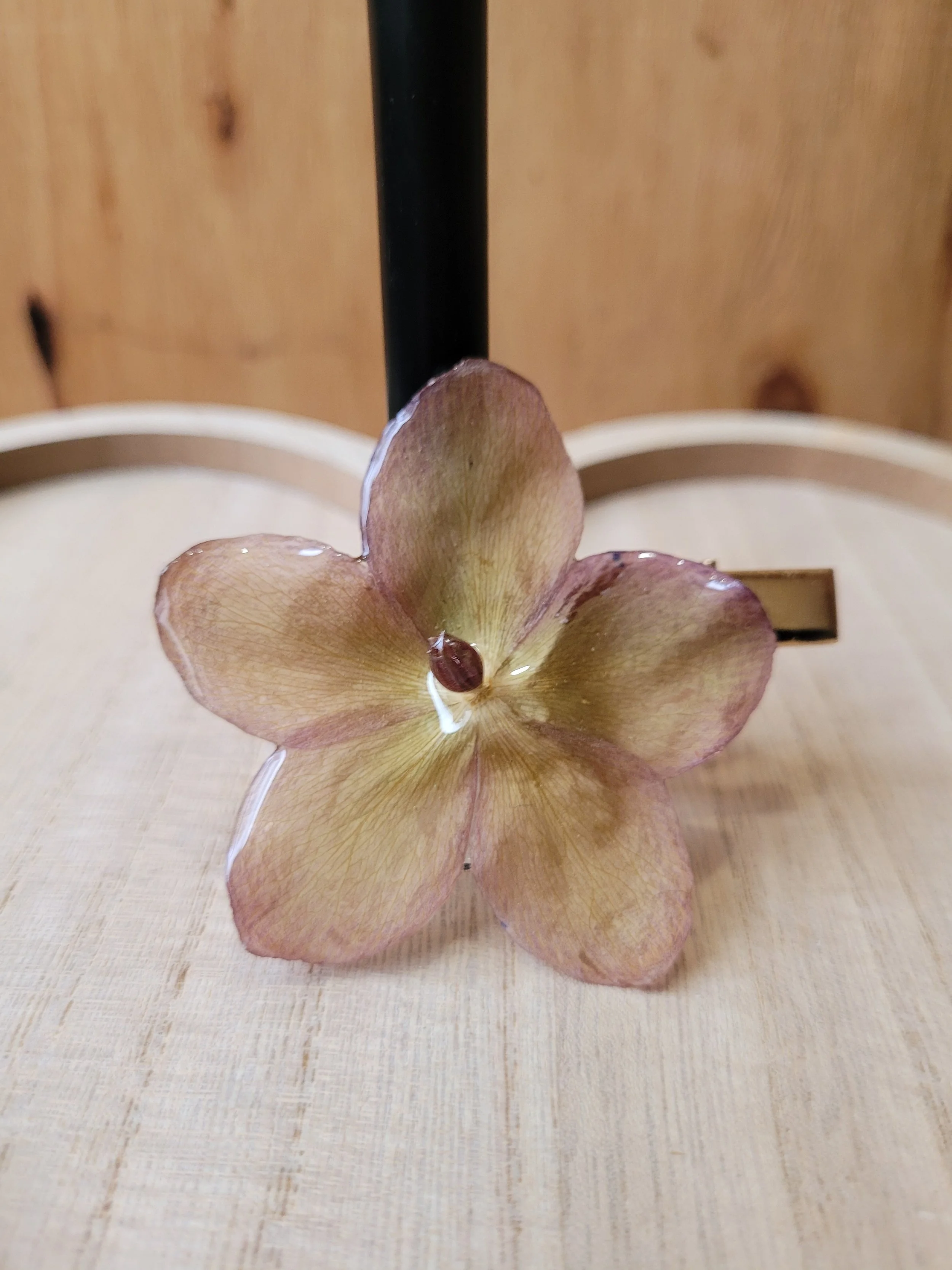 Hellebore Alligator Hair Clip