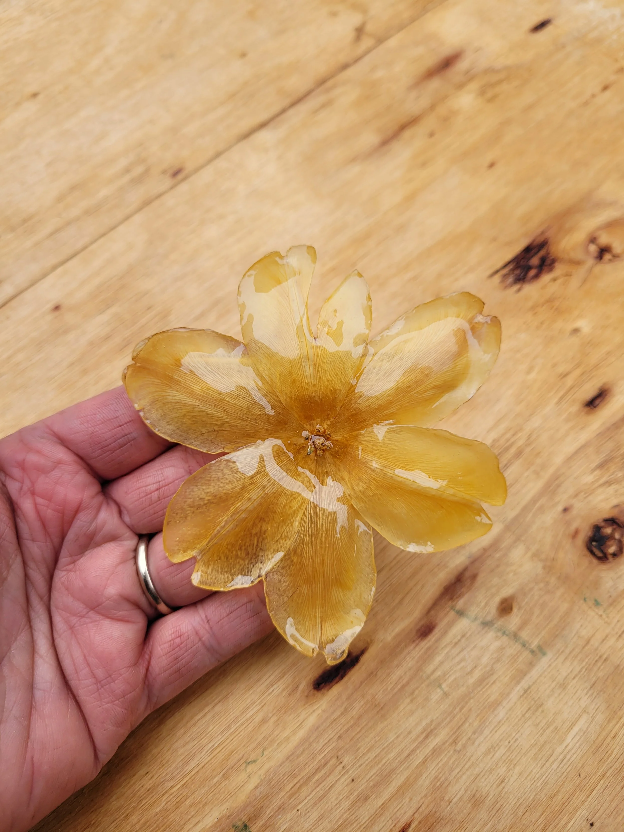 Tulip Alligator Hair Clip