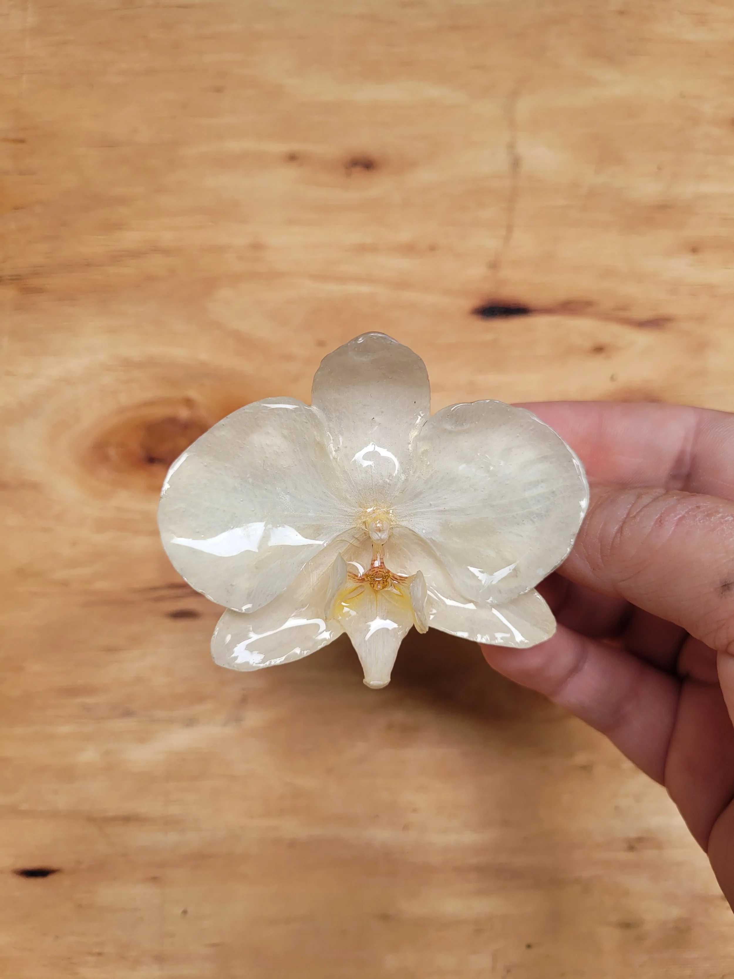 Orchid Alligator Hair Clip