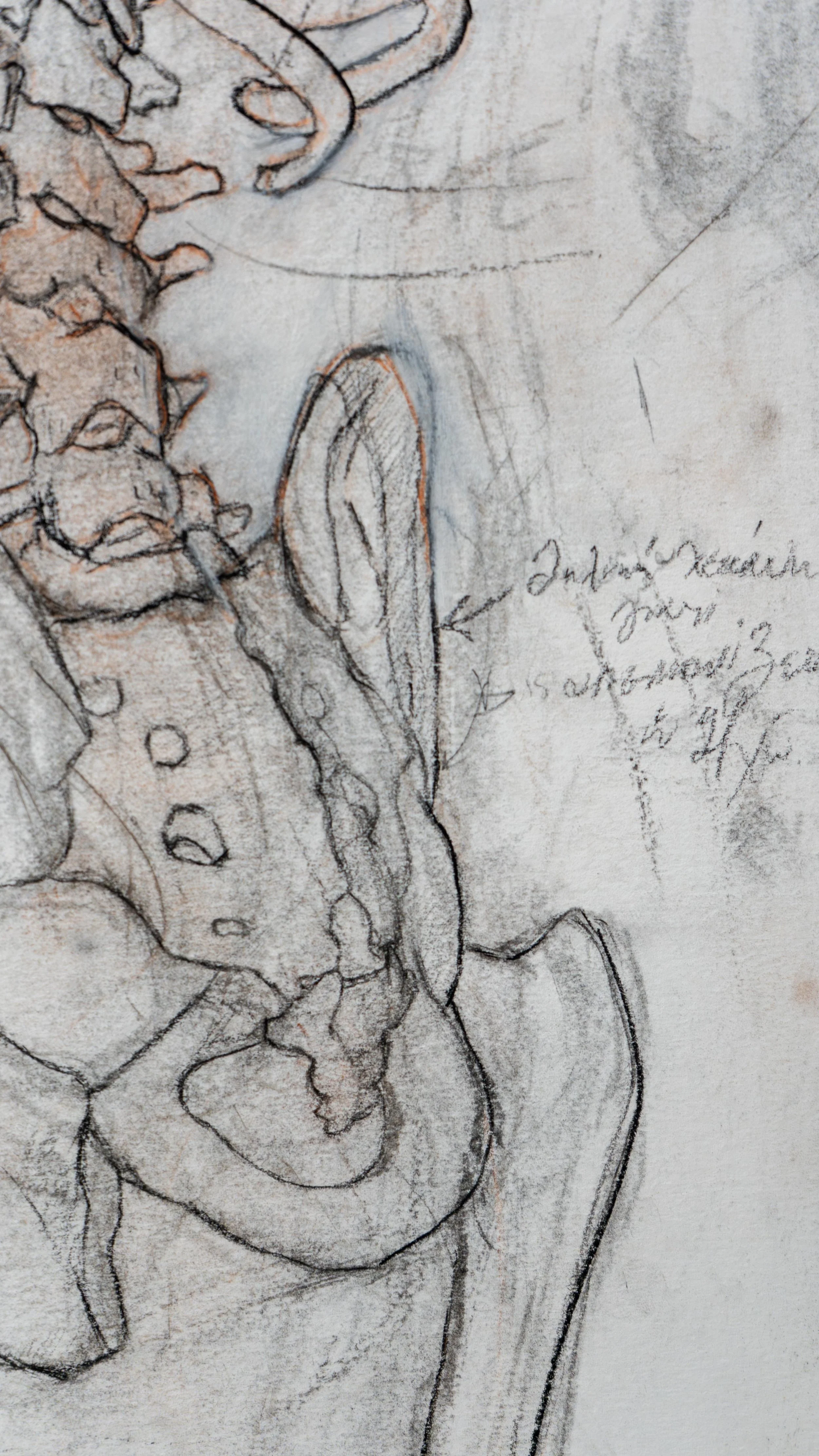  Ηχώ με περιθωριακές σημειώσεις (λεπτομέρεια από «Ο Αέρας που χορεύει γύρω από τον πόνο») | Echo with marginal notations (detail from "The Air that Dances Around Pain")  charcoal, sanguine, and white chalk on paper, 60 × 120 cm (23.5 × 47 in.) 