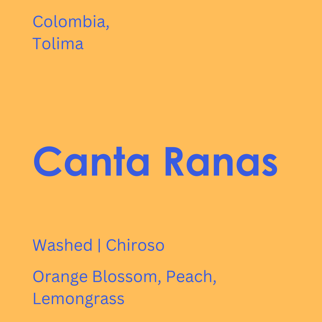 Colombia - Canta Ranas (Smol)
