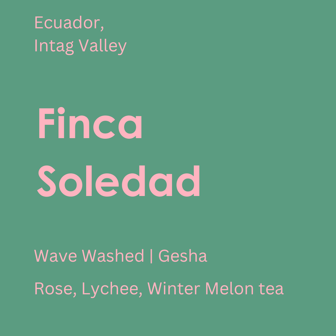 Finca Soledad Insta Post.png