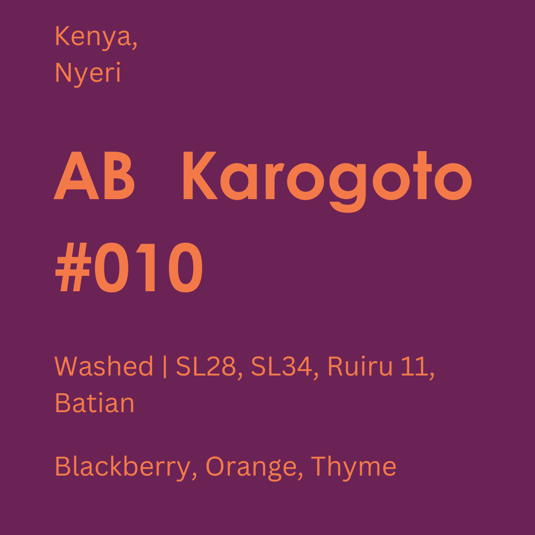 Kenya - AB Karogoto #010