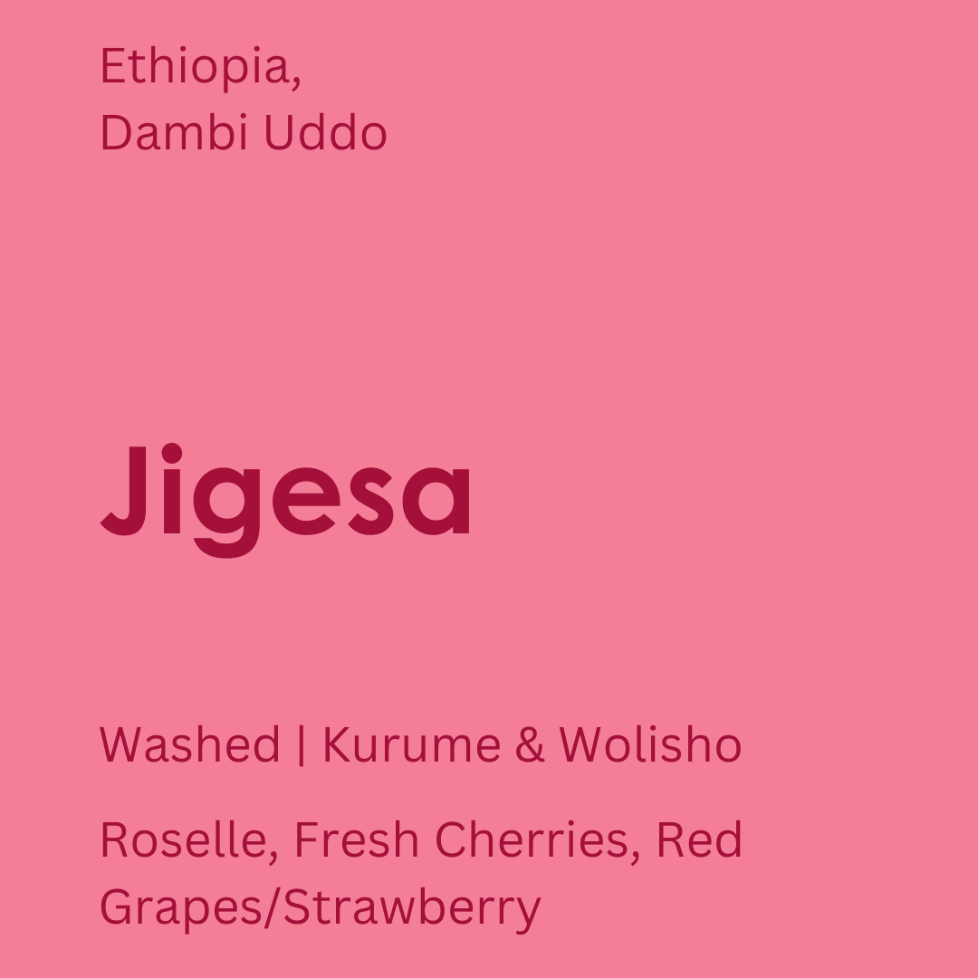 Ethiopia - Jigesa Washing Station