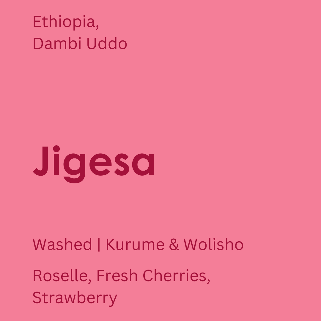 Ethiopia Jigesa Insta Post.png