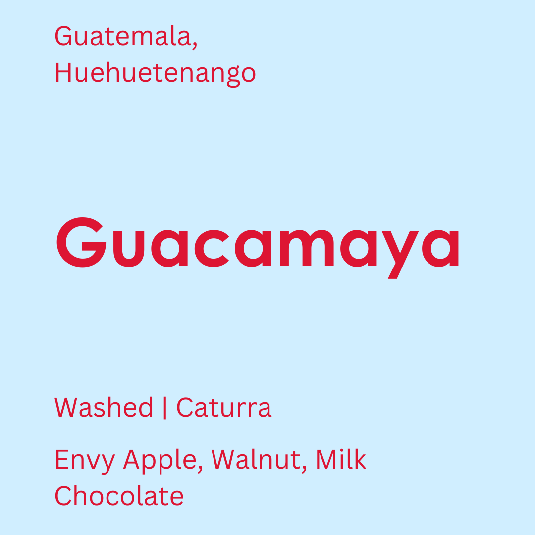 Guatemala - Guacamaya
