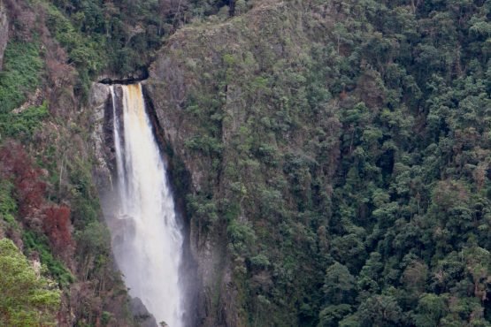 Salto-de-Bordones-555x370.jpg