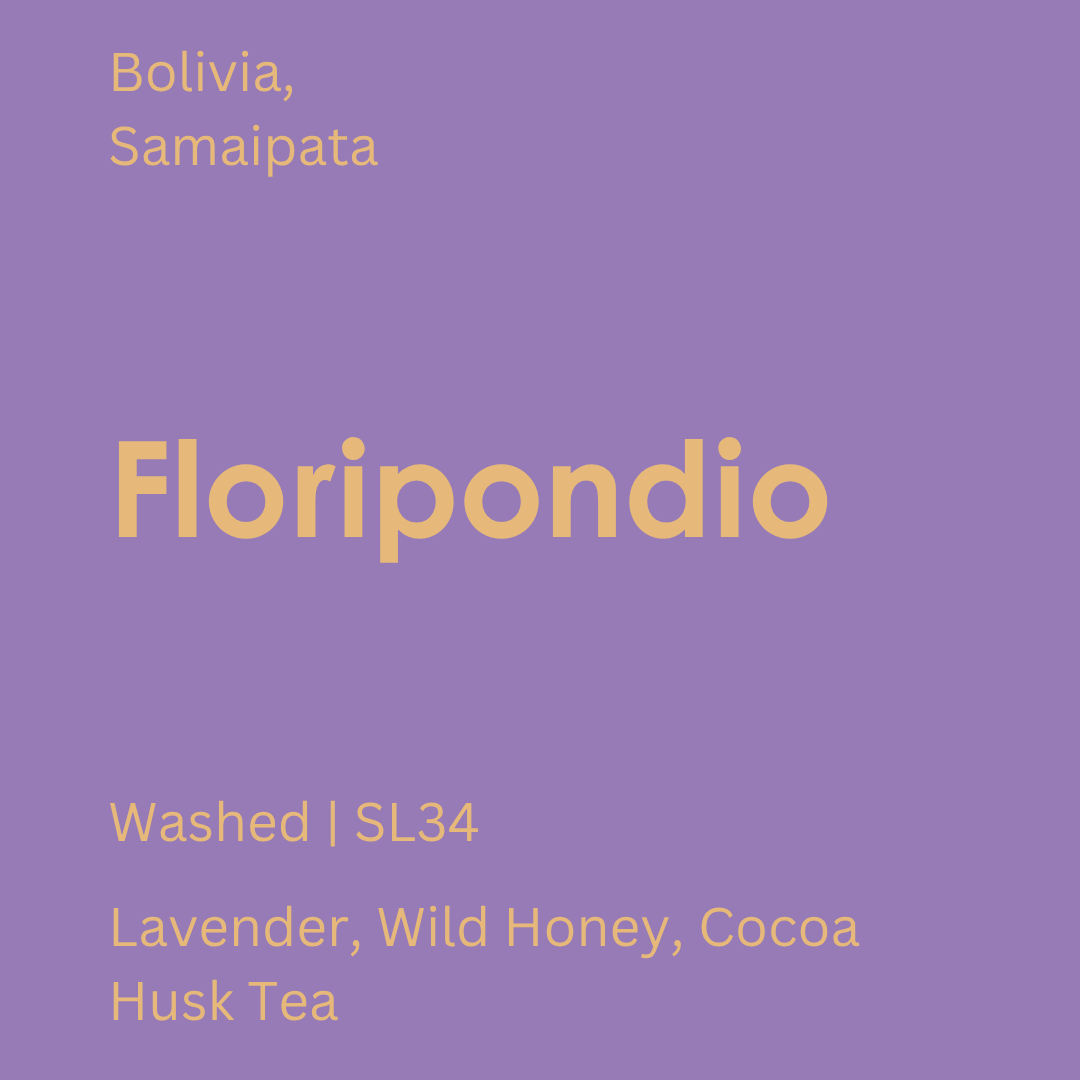 Floripondio.png