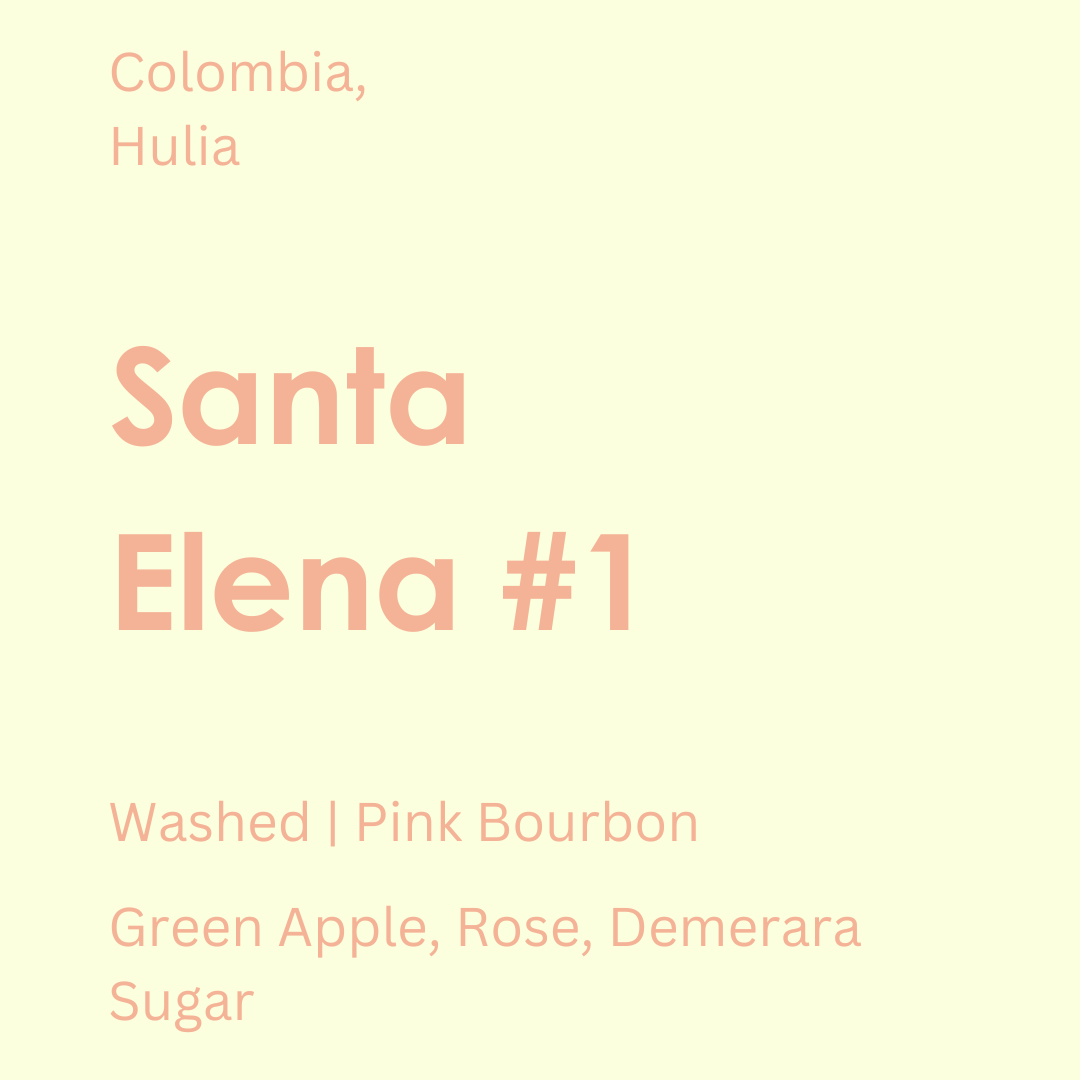 Colombia - Santa Elena #1