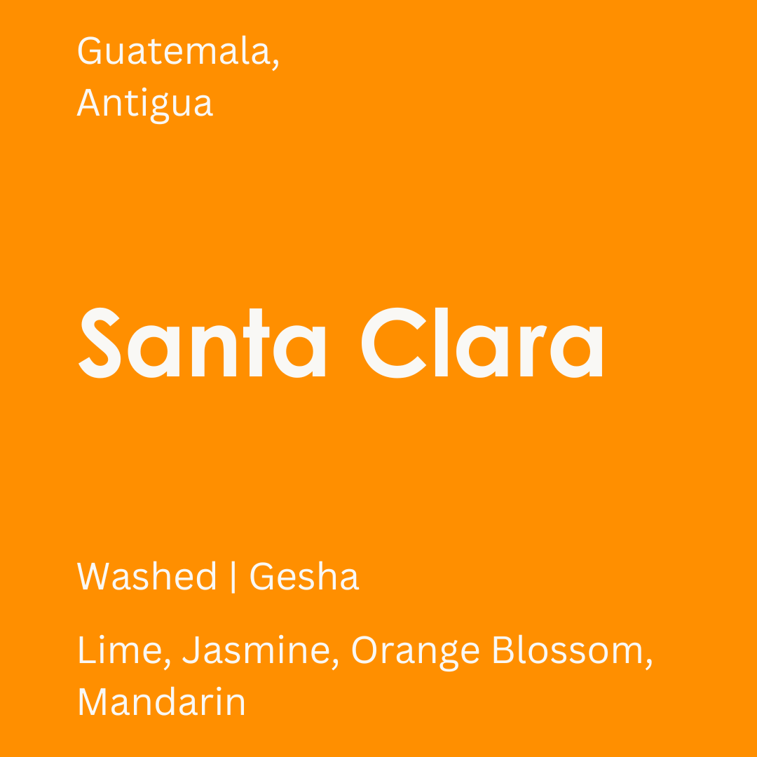 Guatemala - Santa Clara