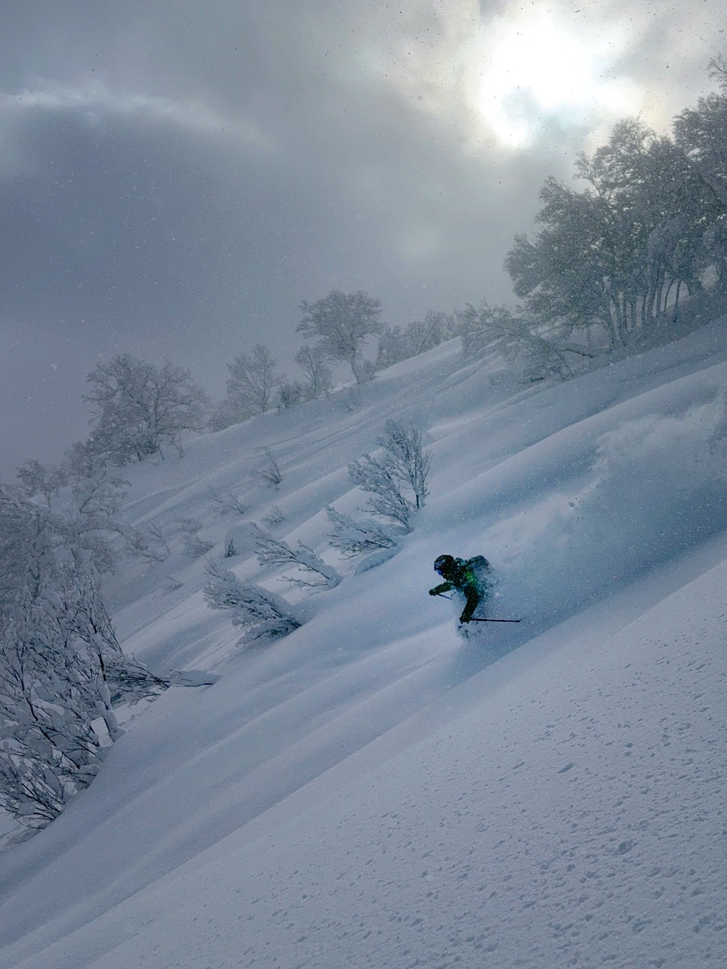 &ldquo;In this business, happiness is like peeing your pants, everyone sees it but only you feel the warmth.&rdquo; 

 - Roko Koell (old Canadian mountain guide)

#powderskiing #winter26
