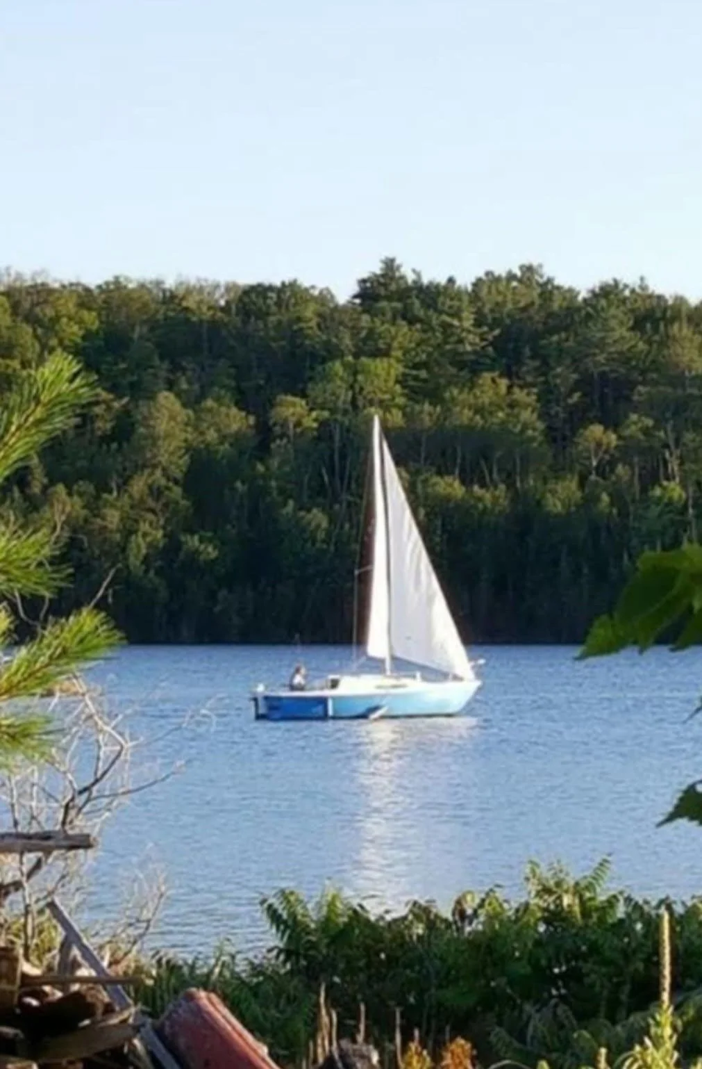 A sailboat with white sails on a body of water, surrounded by trees and greenery.