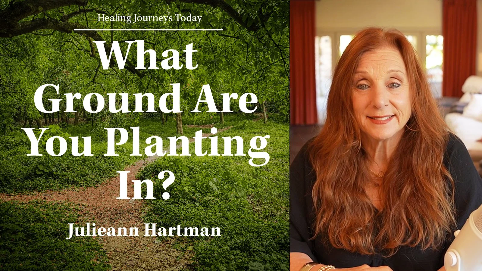 Episode 309: What Ground Are You Planting In?