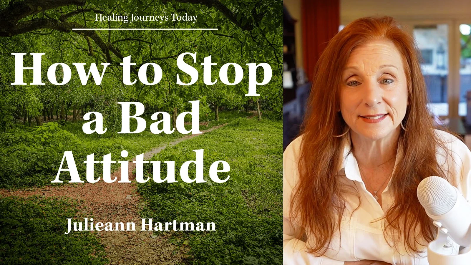 Episode 373: How to Stop a Bad Attitude