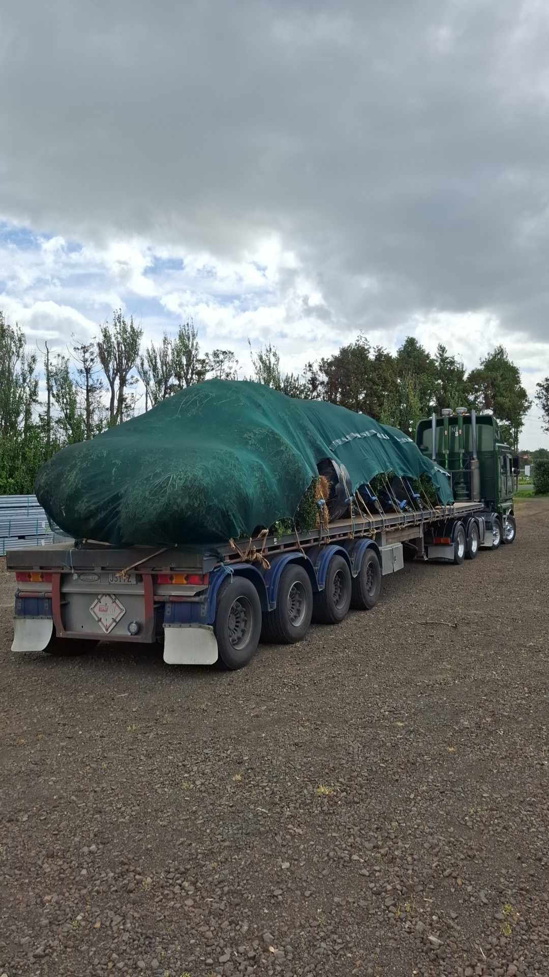 Nupin Transport - Trees