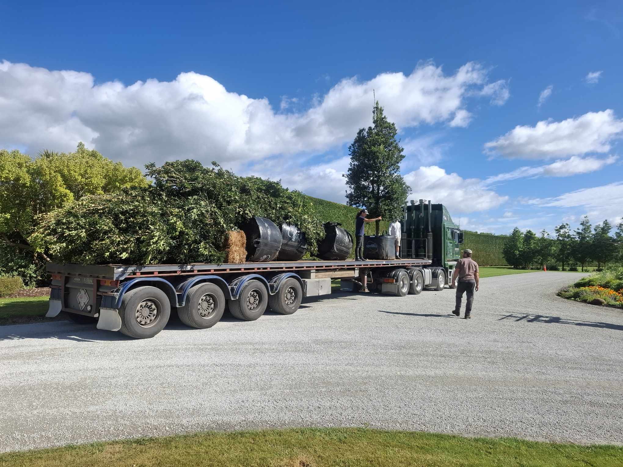 Nupin Transport Trees