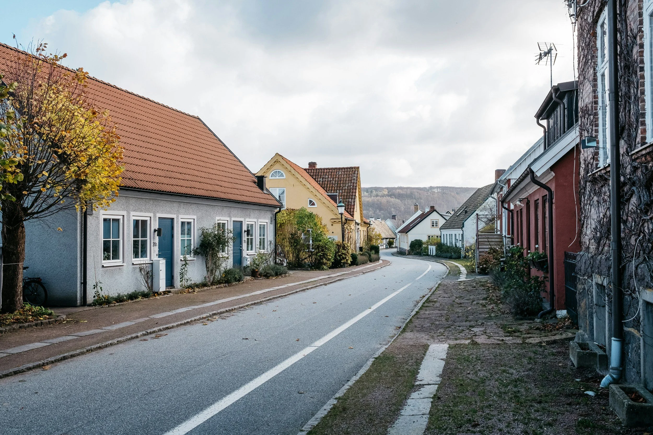 A quiet residential street with houses, trees, and a cloudy sky.