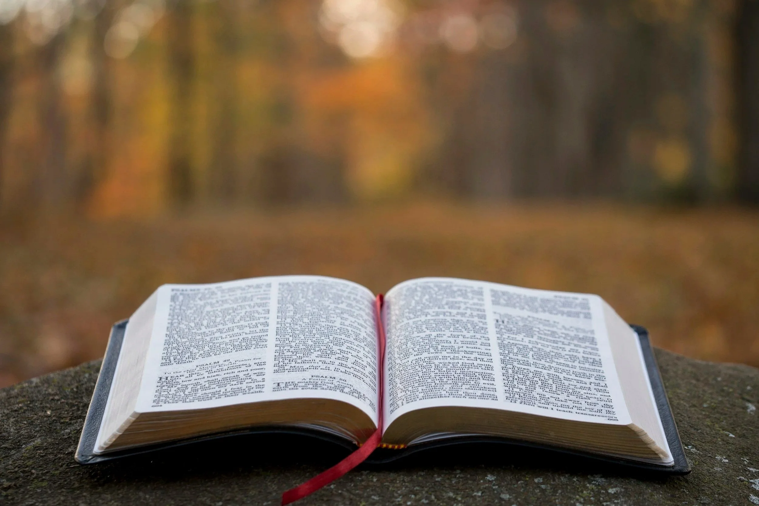 An open Bible with a red bookmark placed on an outdoor surface, with a blurred background of trees with autumn leaves.