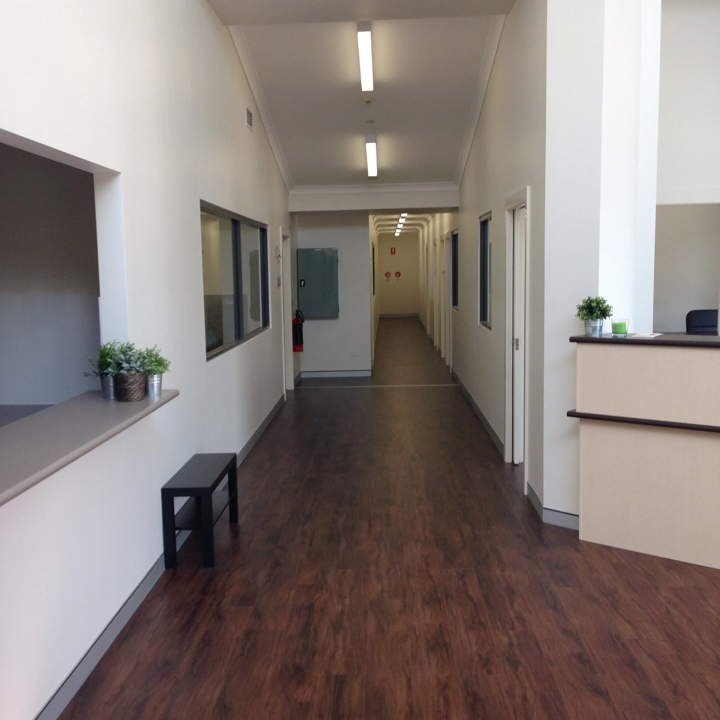 Empty office hallway with wooden flooring, a reception desk, indoor plants, and overhead lighting.
