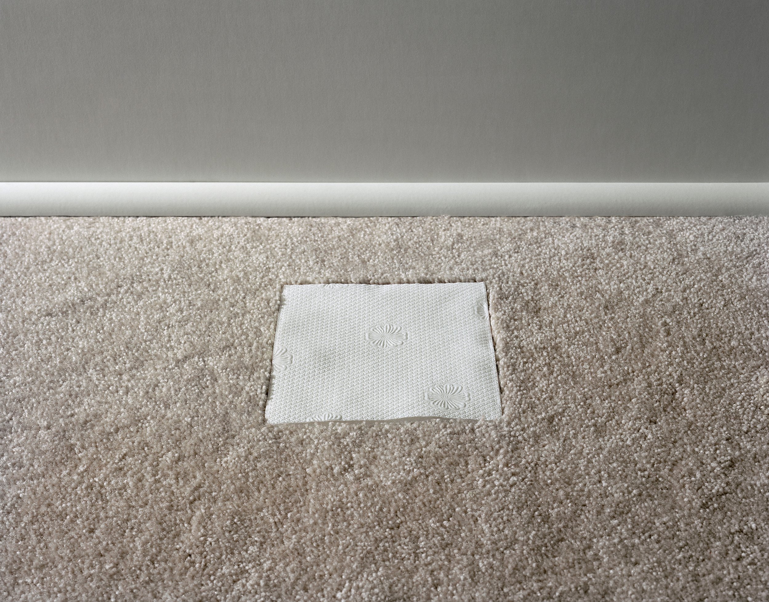 Napkin(2012)-1259.jpg