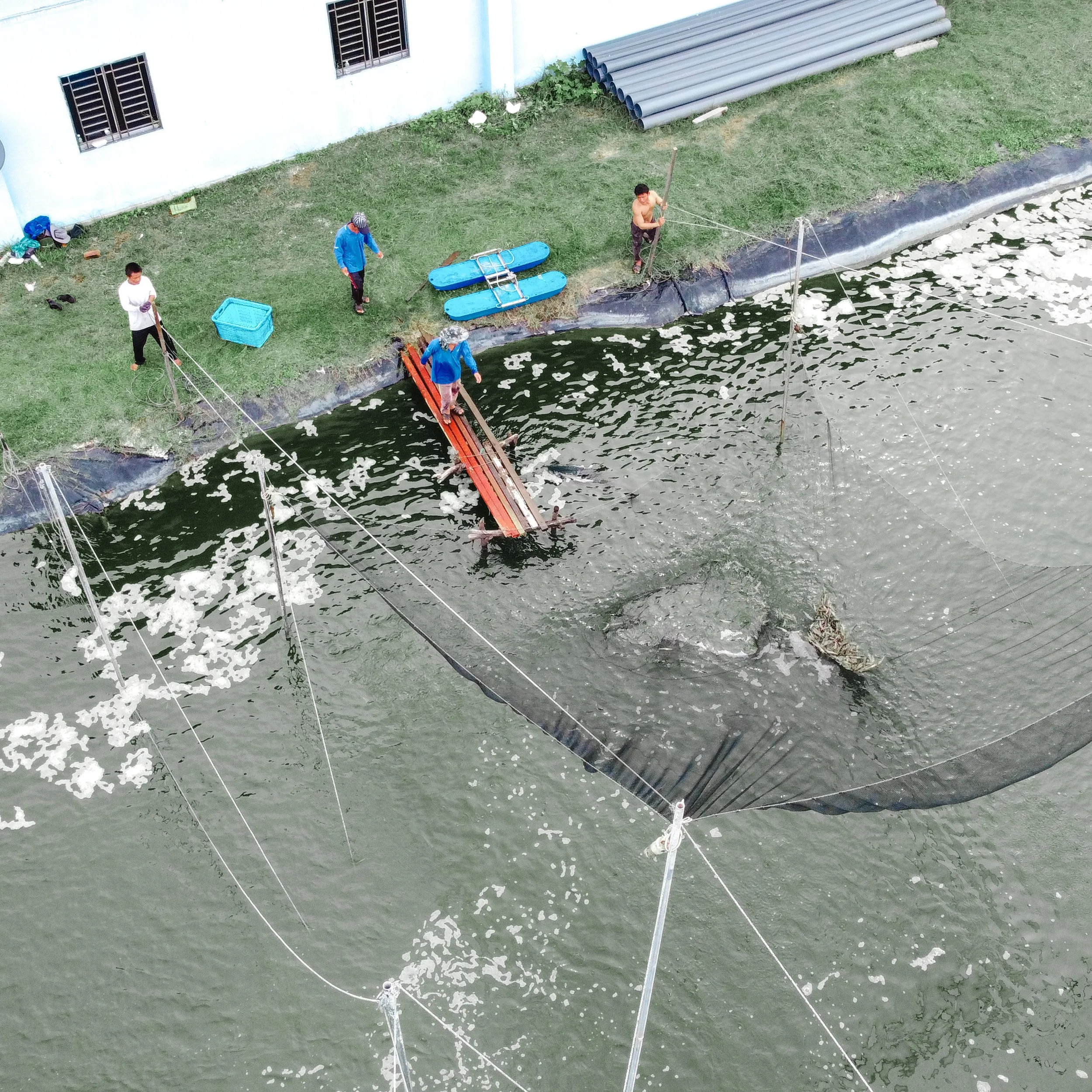 People working in a river, using nets and poles for fishing or fish farming, with a small bridge or platform in the water.