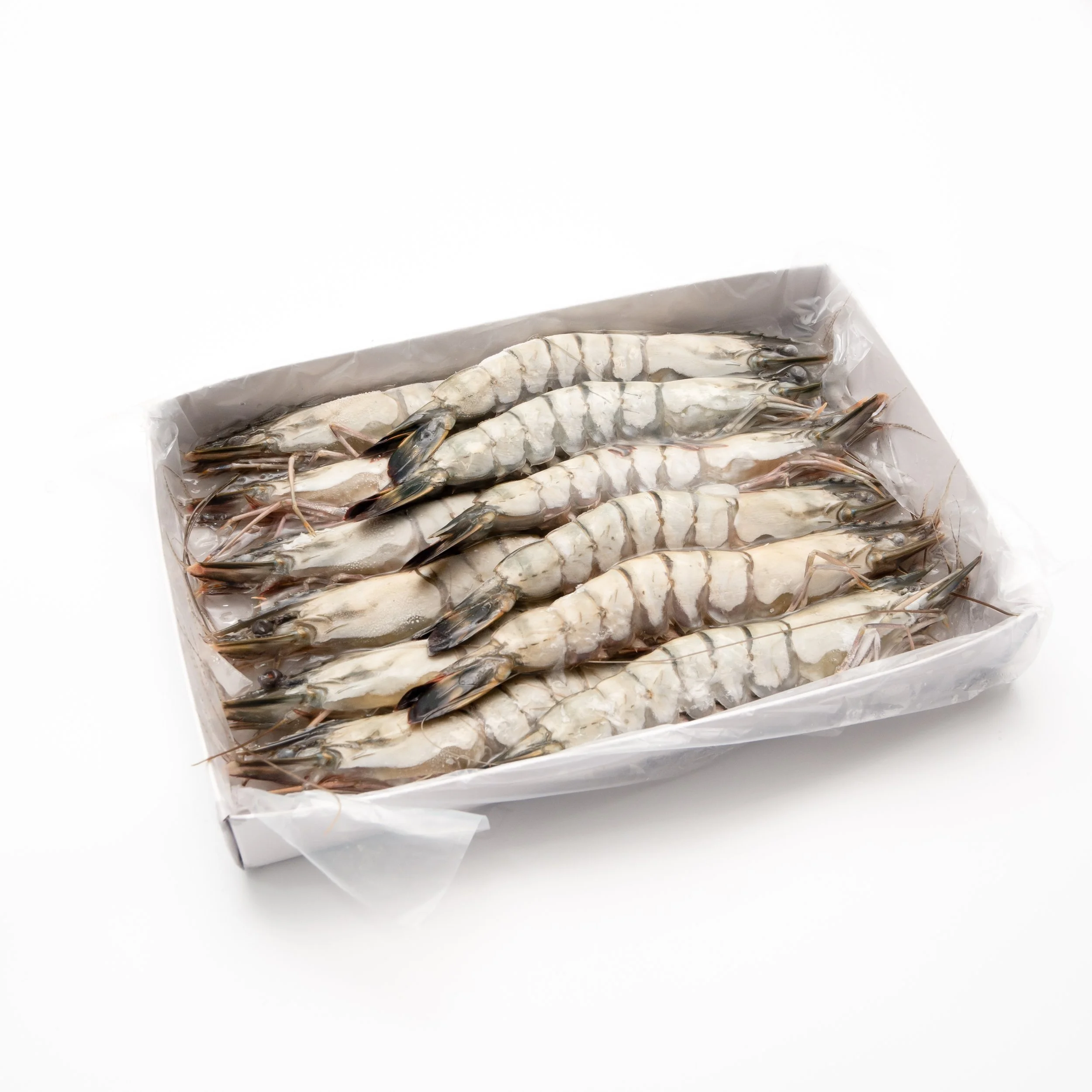 Frozen Black Tiger Prawn
