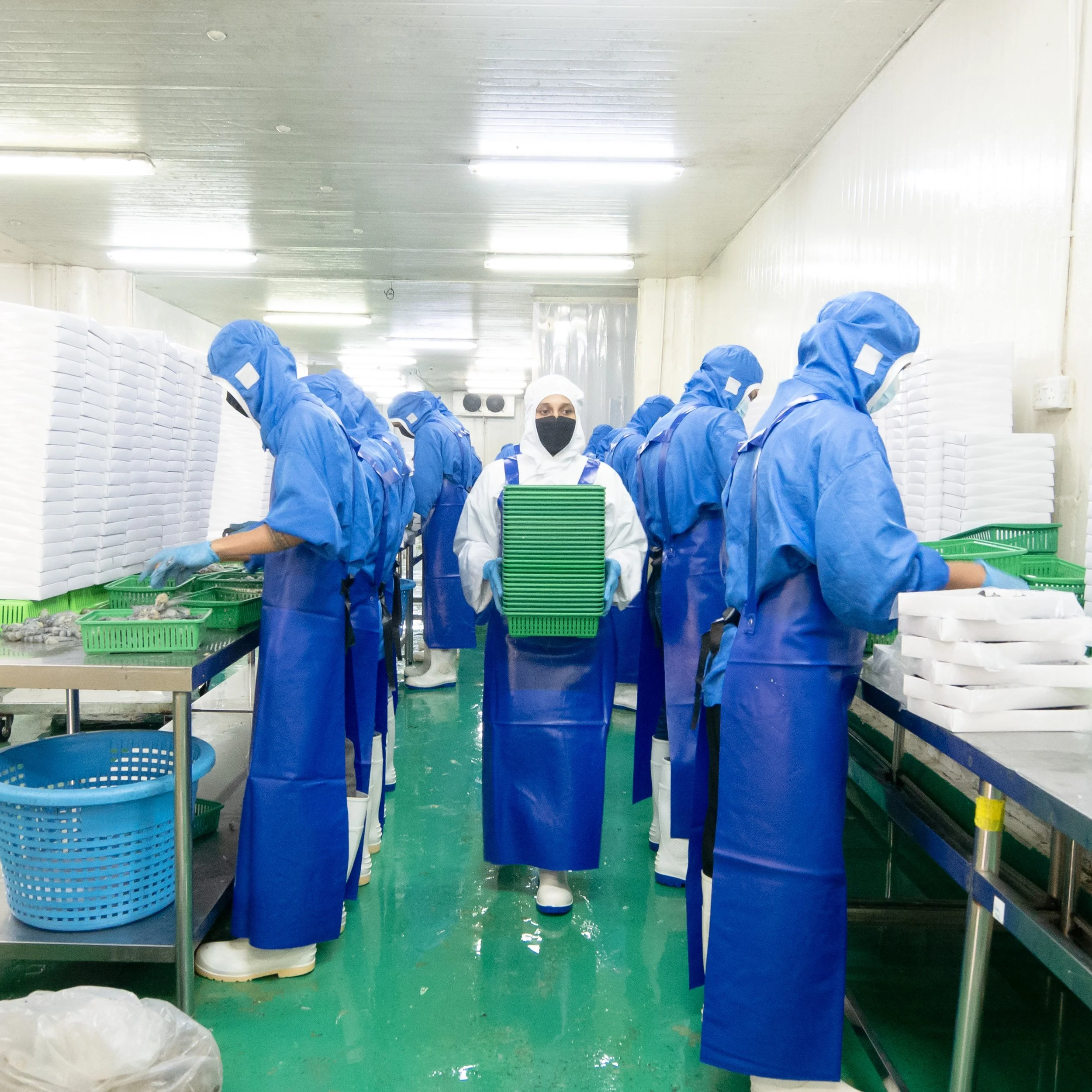 Workers in a food processing plant wearing blue protective suits, gloves, masks, and hair covers. One worker in the center holds a tray of green items, while others work at tables with stacked white packages and trays.