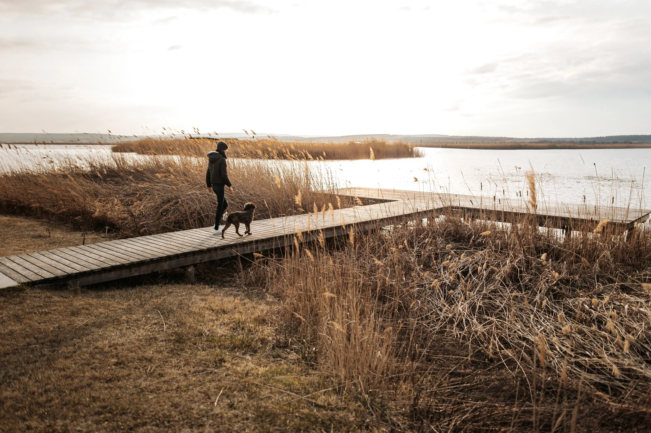 4F3A1553-2 Kopie.jpg