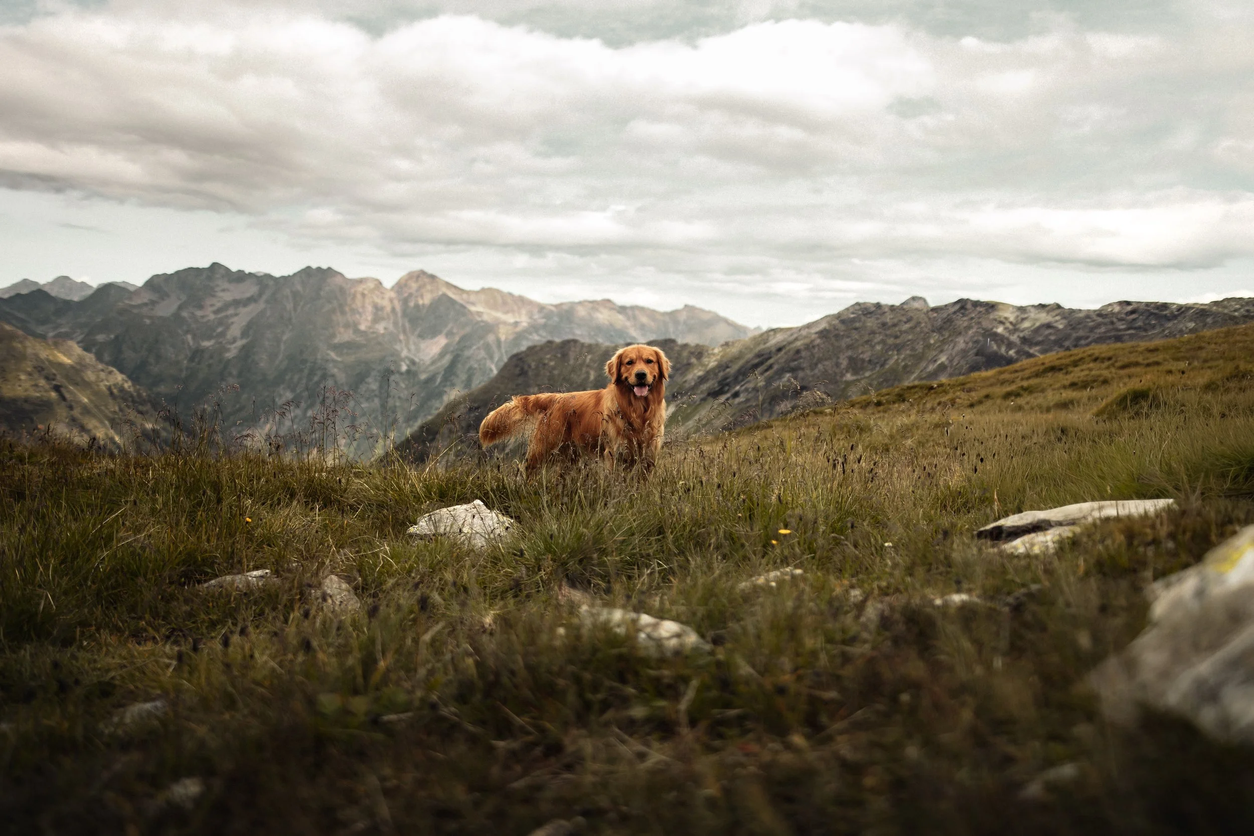 4F3A6657-Bearbeitet.jpg