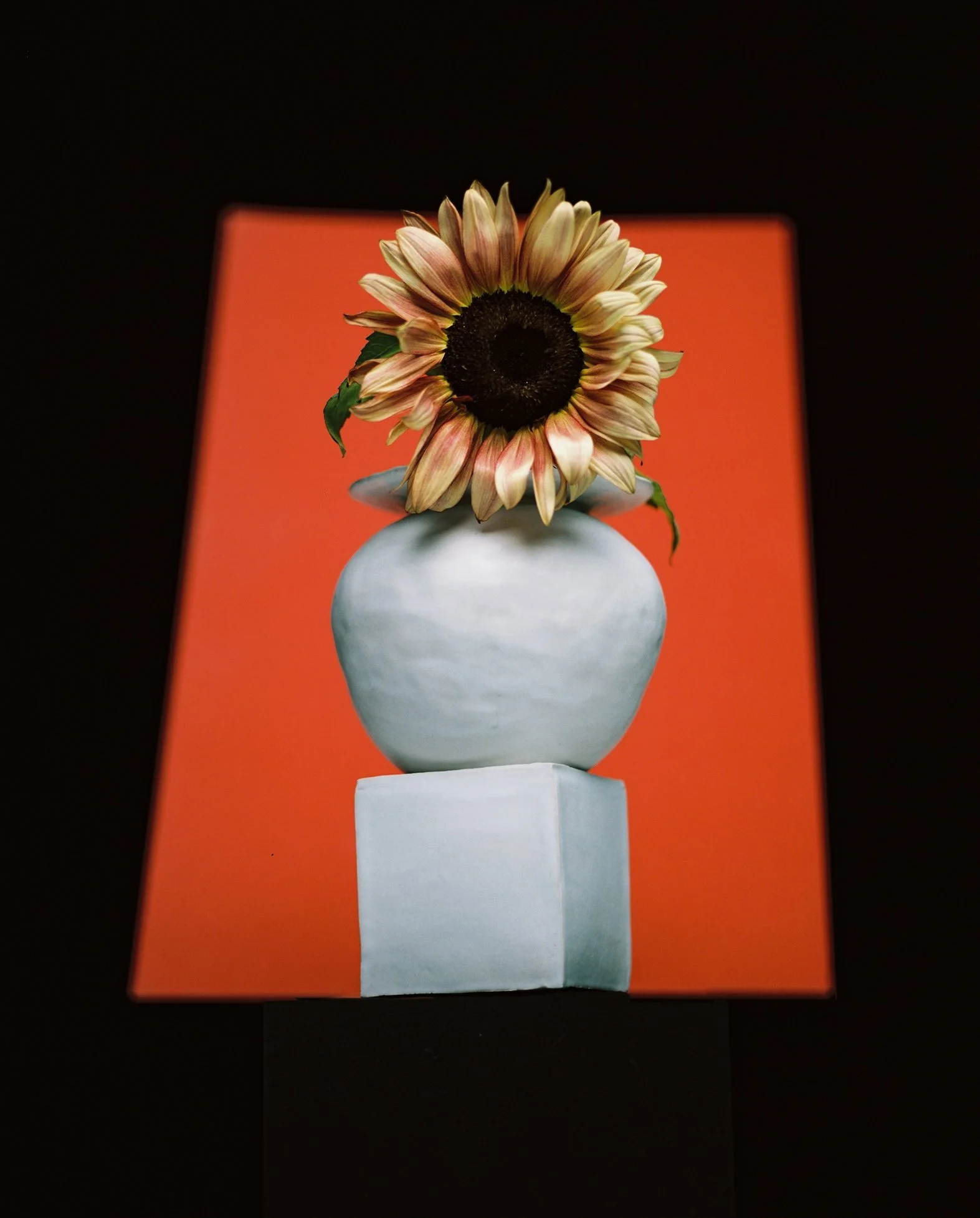 JZ-CERAMIQUE 56_2.jpg