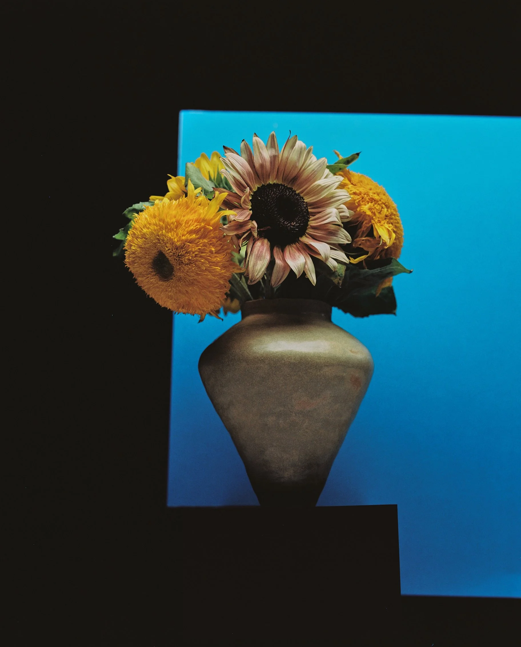 JZ-CERAMIQUE 55-BD.jpg