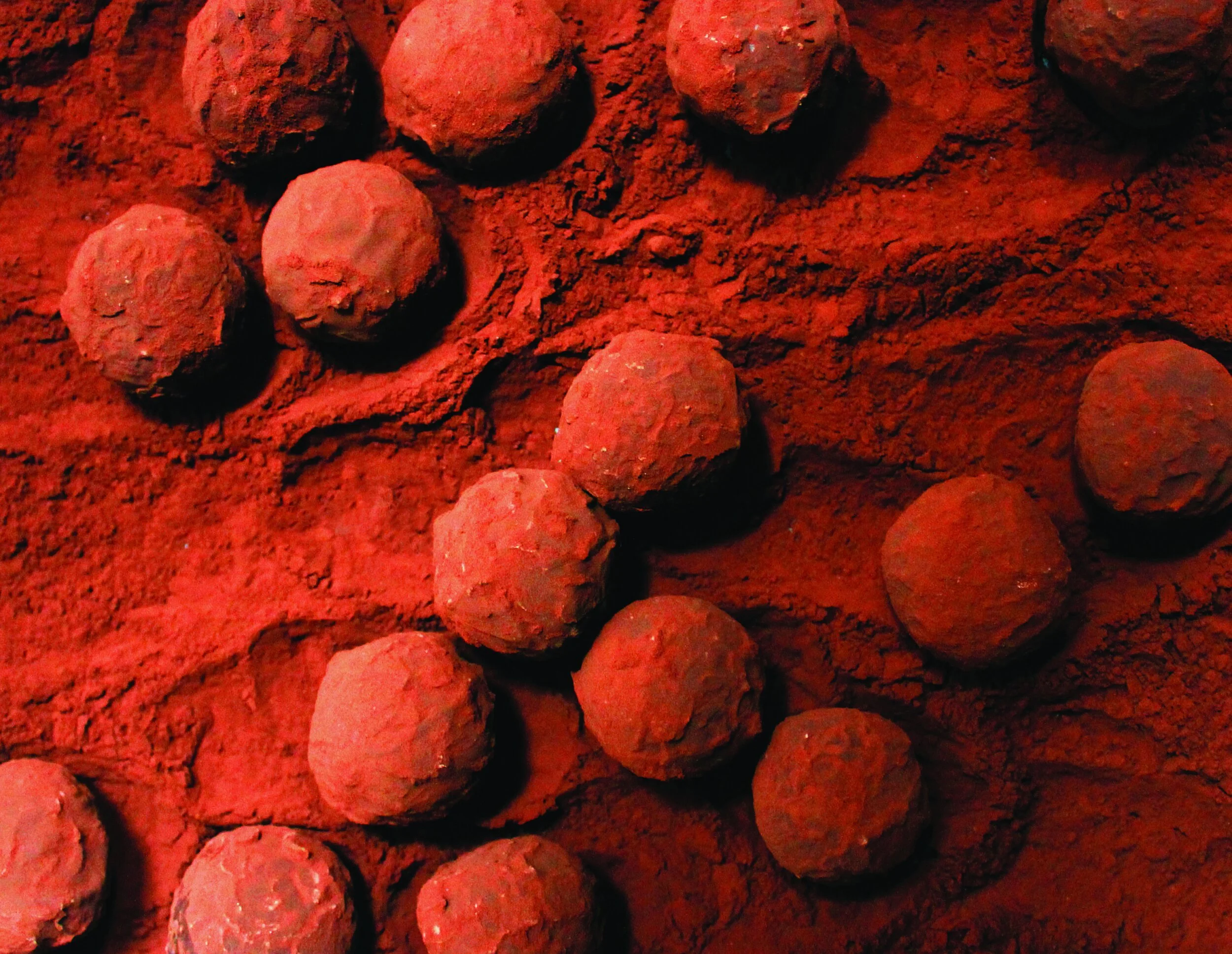 Fresh Ginger Infused Ganache Truffle