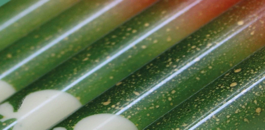 Cinnamon, Bergamot and Apple Snacking Bar