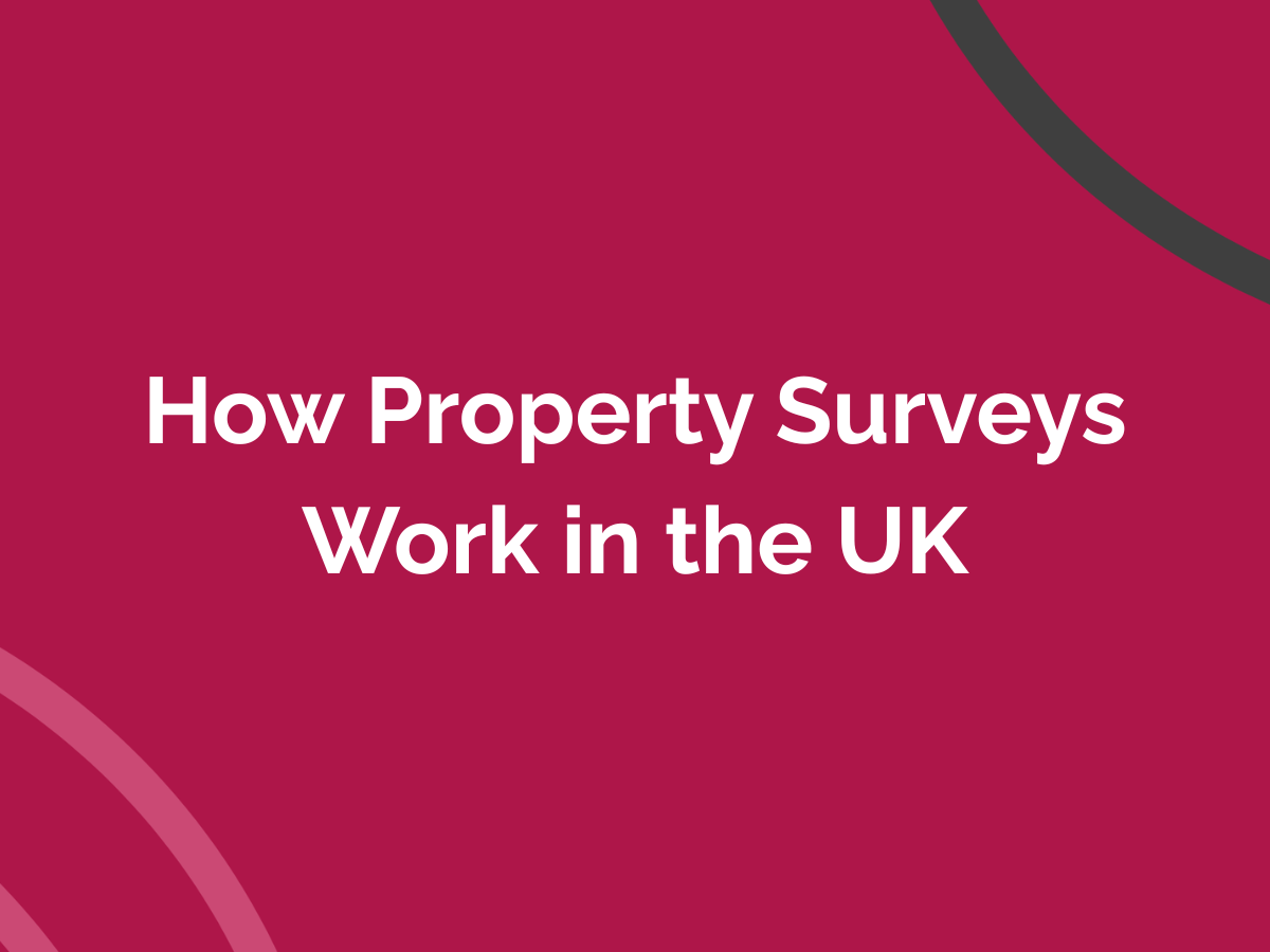 How Property Surveys Work in the UK