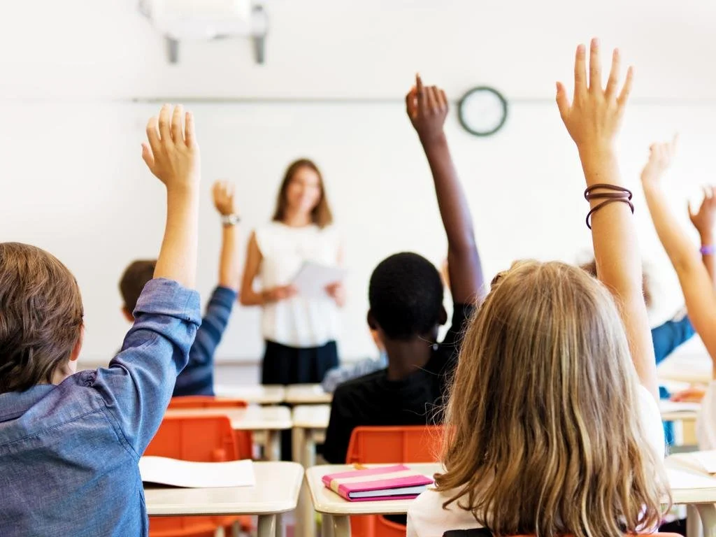 School Catchment