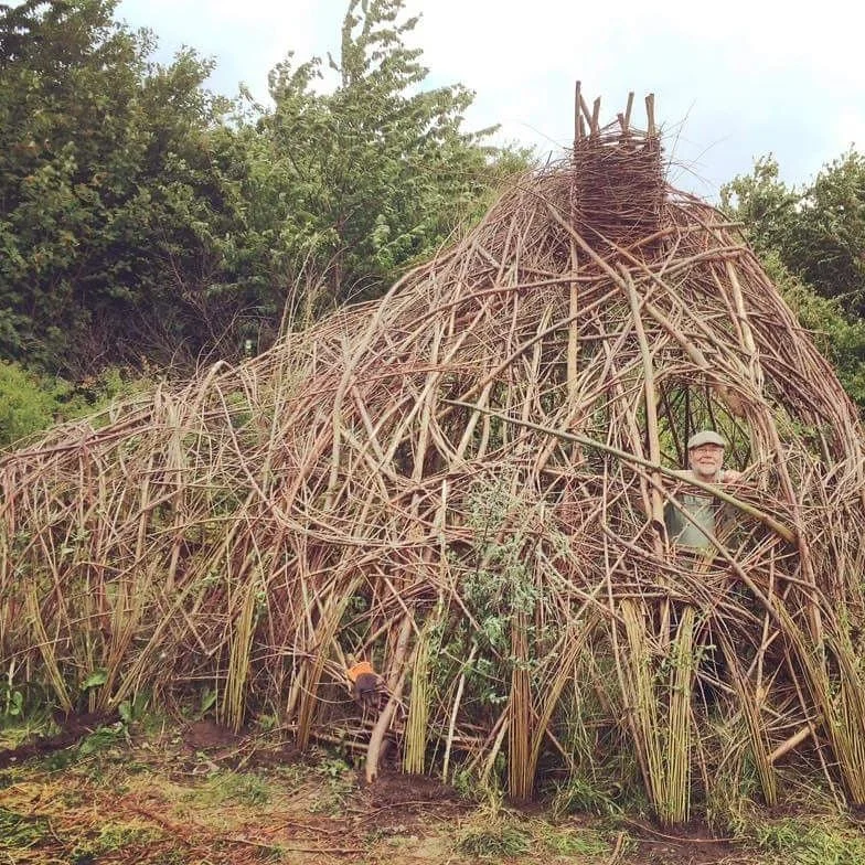 18396e0d-f8f9-46da-a25b-aa2128b1d524.jfif