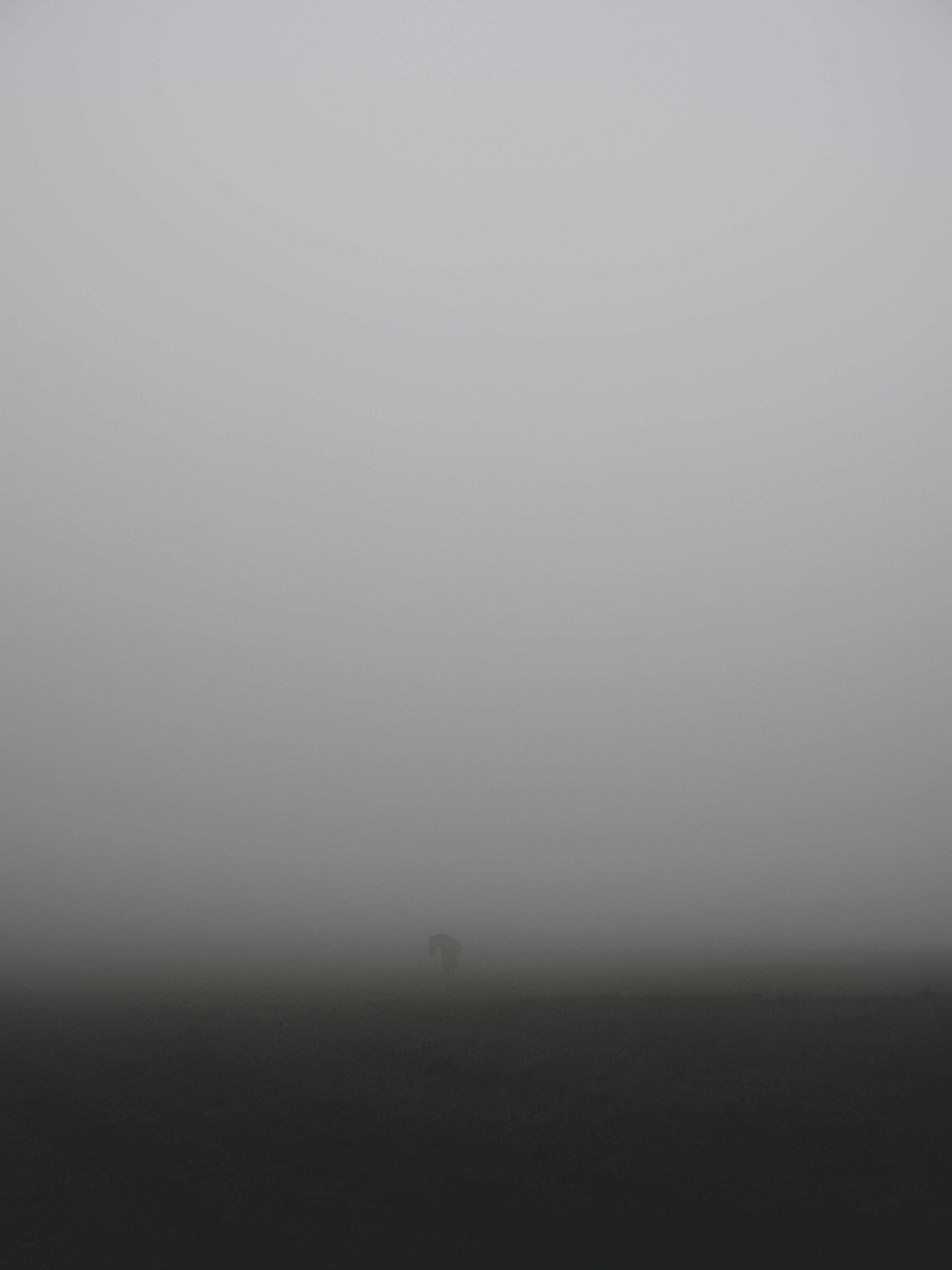 Chained Beauty in the Mist