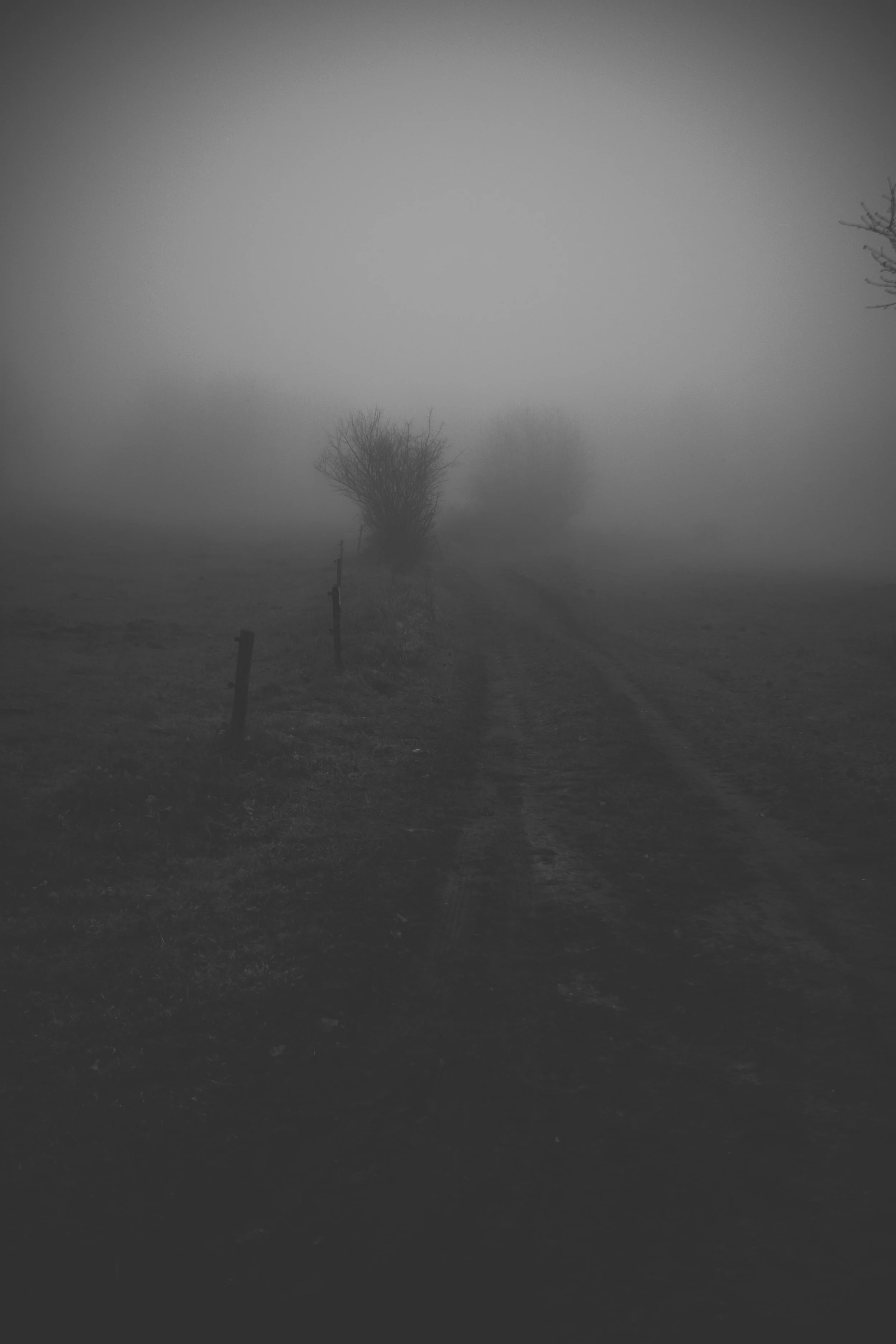 DSCF1954.jpg