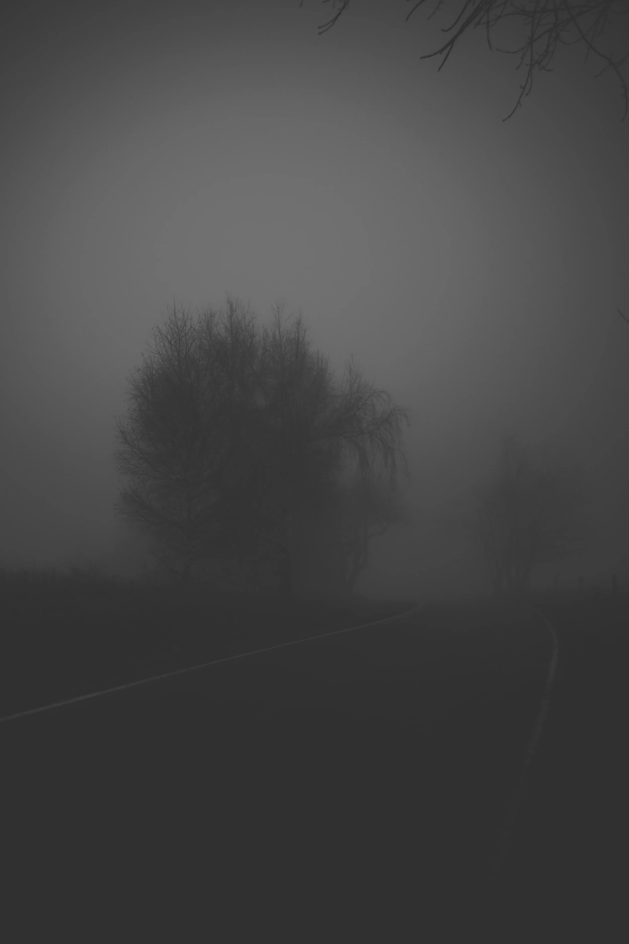 DSCF1955.jpg