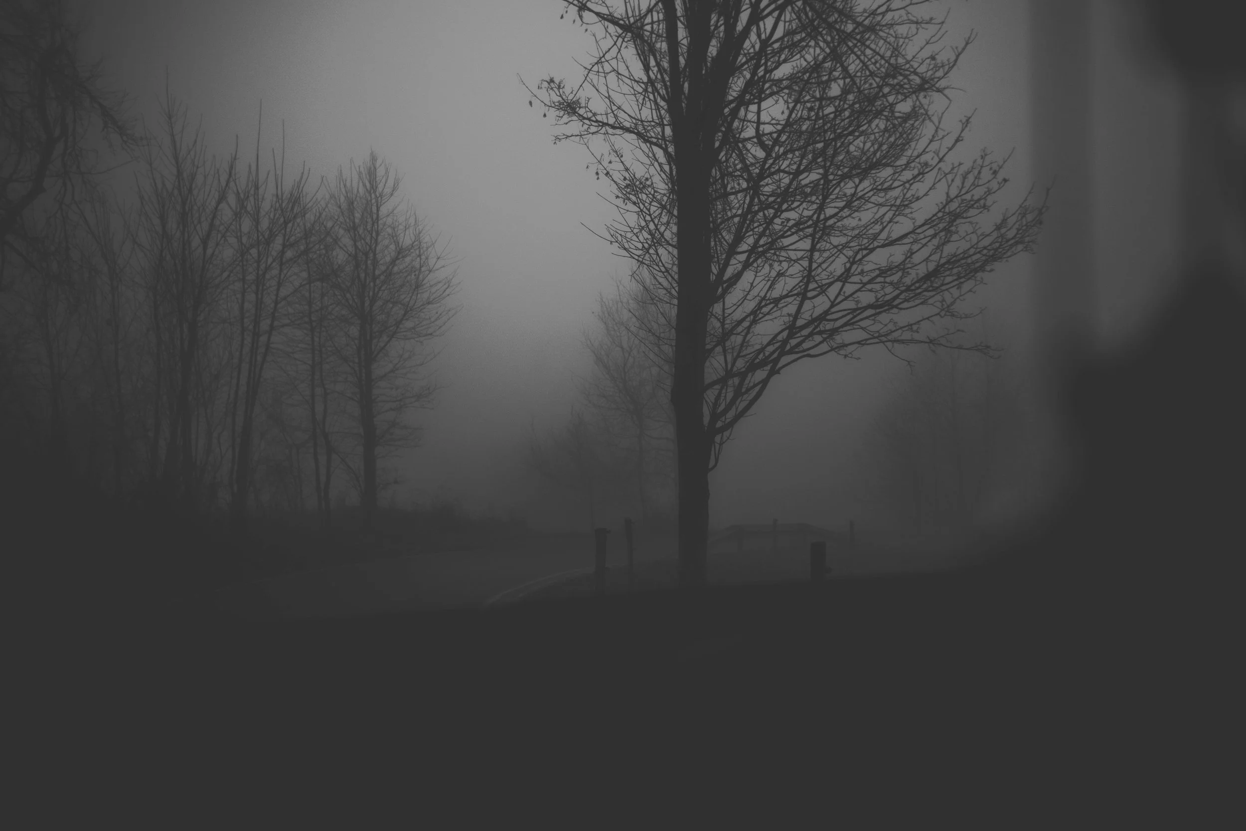 DSCF1973.jpg