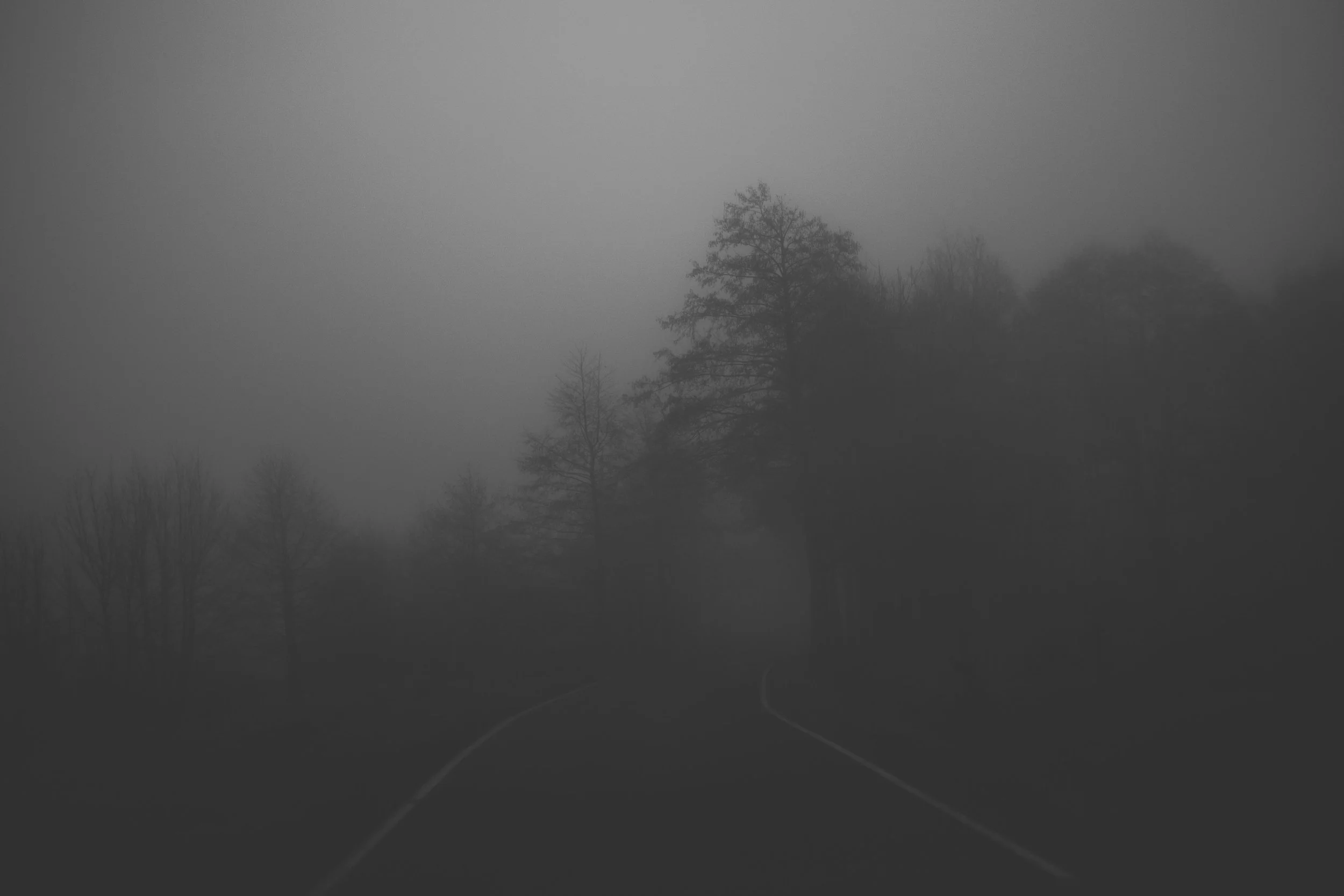 DSCF1977.jpg